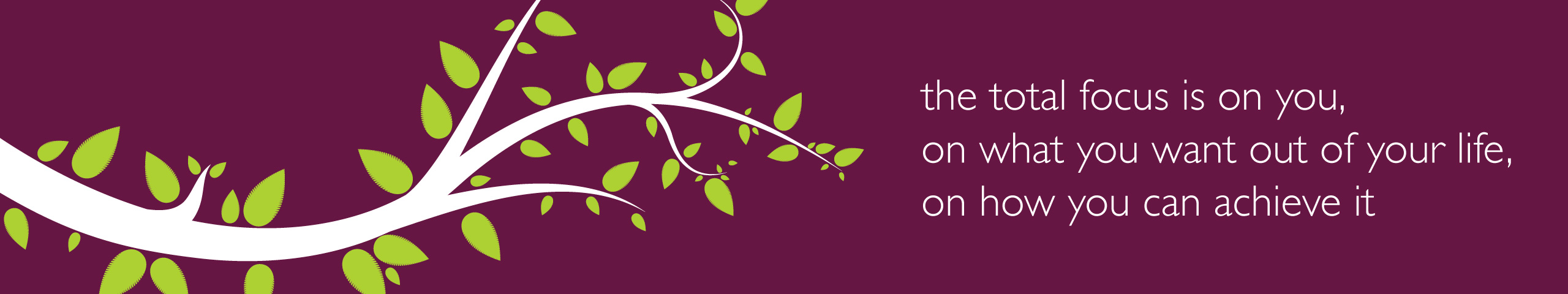 imagine working with someone where the total focus is on you, on what you want out of life and on how to achieve it